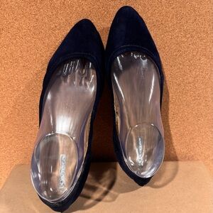 BCBG Navy Suede Pointed Toe Ballet Flats